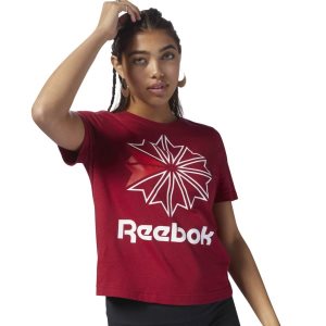 Koszulki Damskie Reebok Classic Big Logo Graphic Czerwone PL 15BNEMK